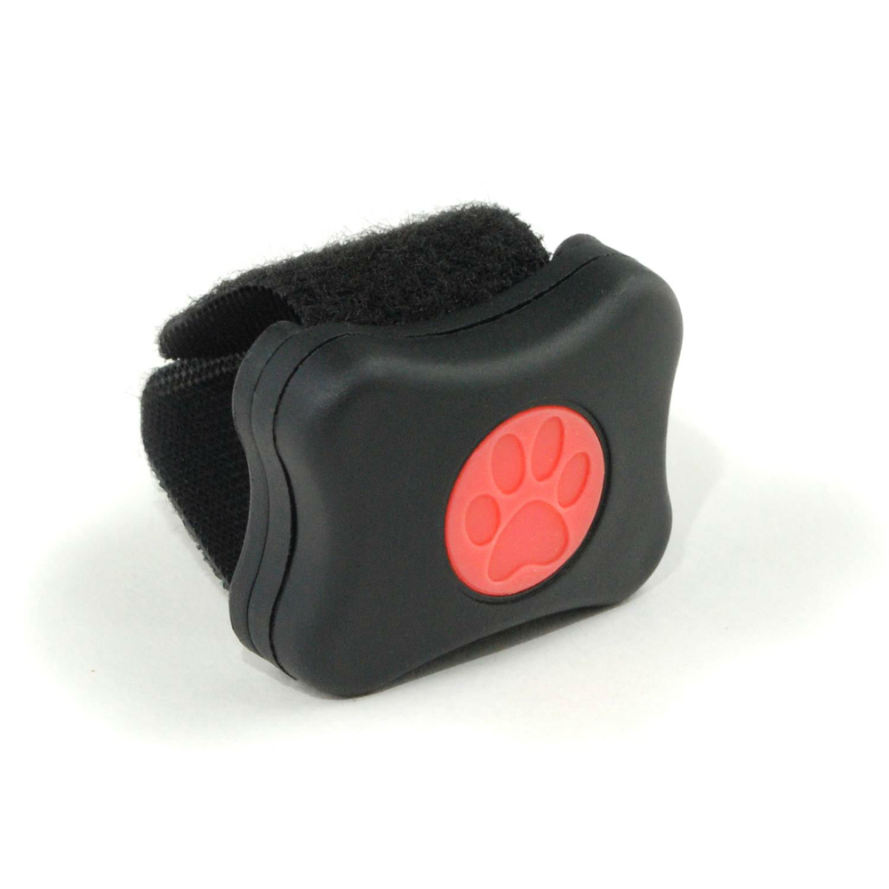 PitPat Aktivitätsmonitor für Hunde mit App Bild 2