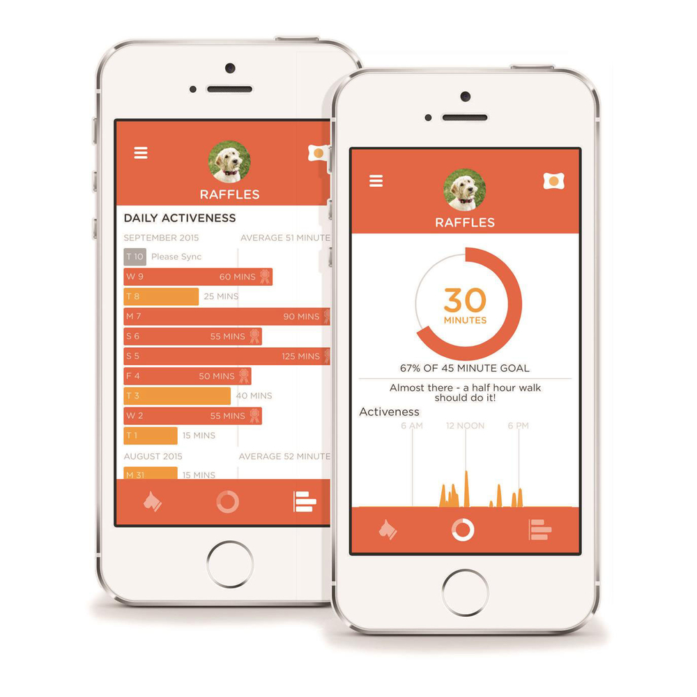 PitPat Aktivitätsmonitor für Hunde mit App Bild 4