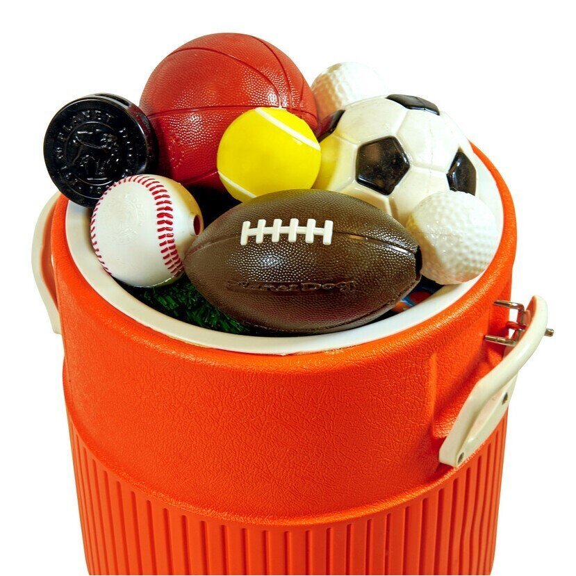 Sport Hundespielzeug Bild 9