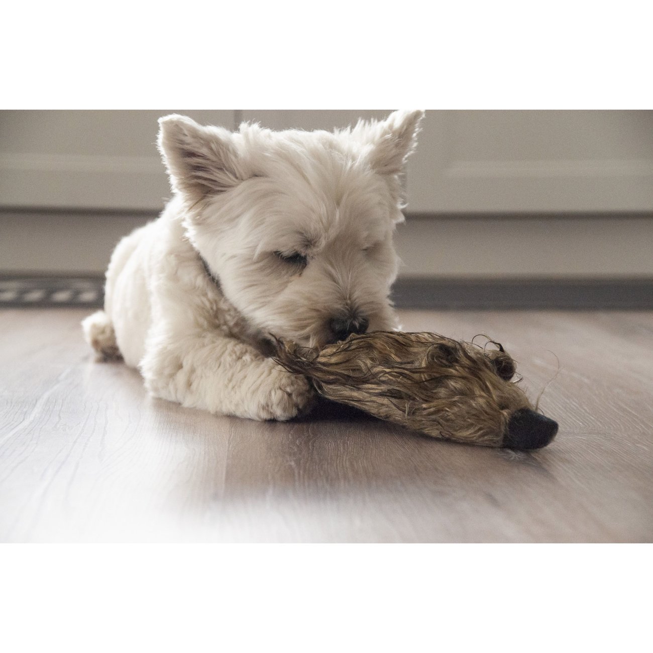 Plüsch Frettchen Hundespielzeug Bild 3