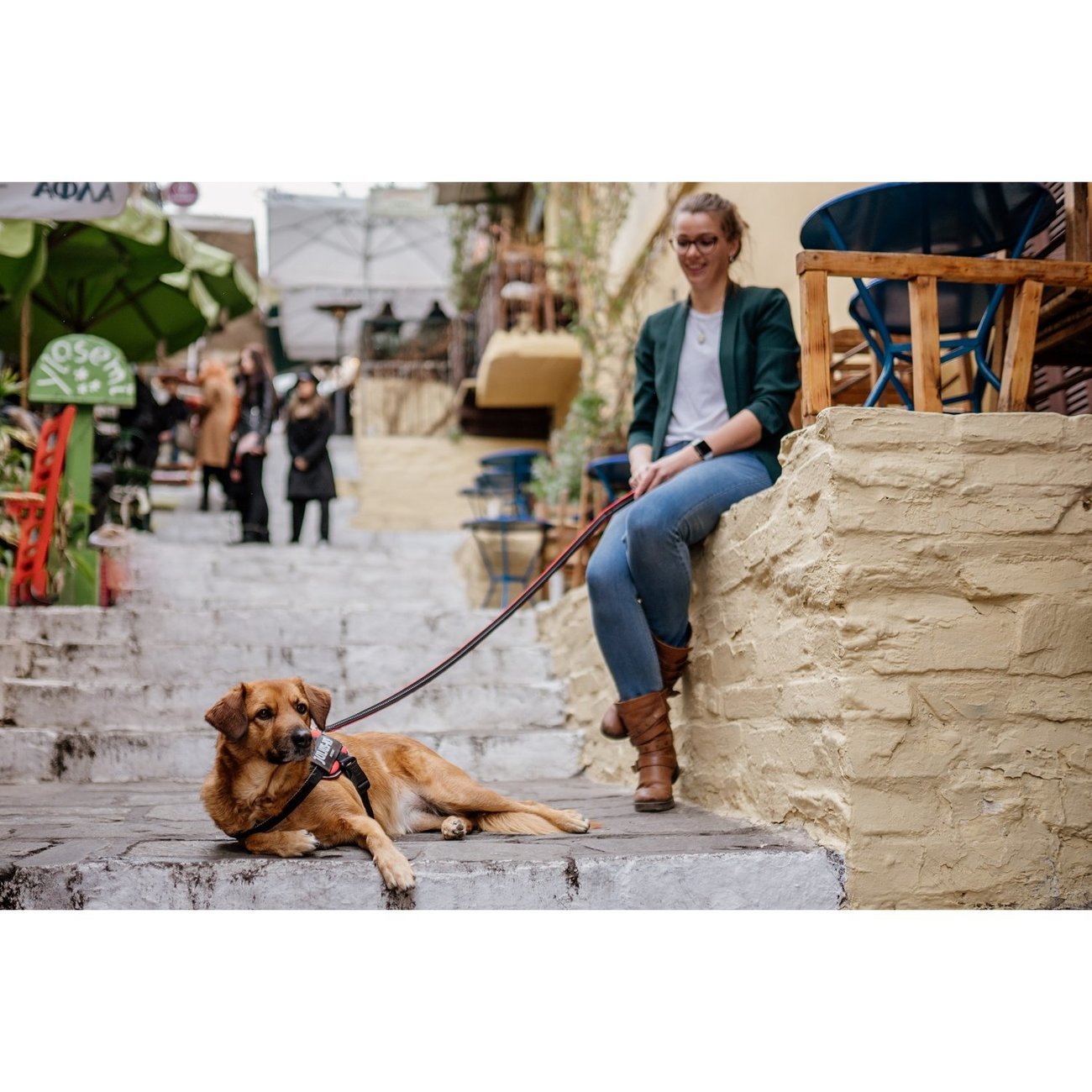 POWAIR Leine für Hunde Bild 3