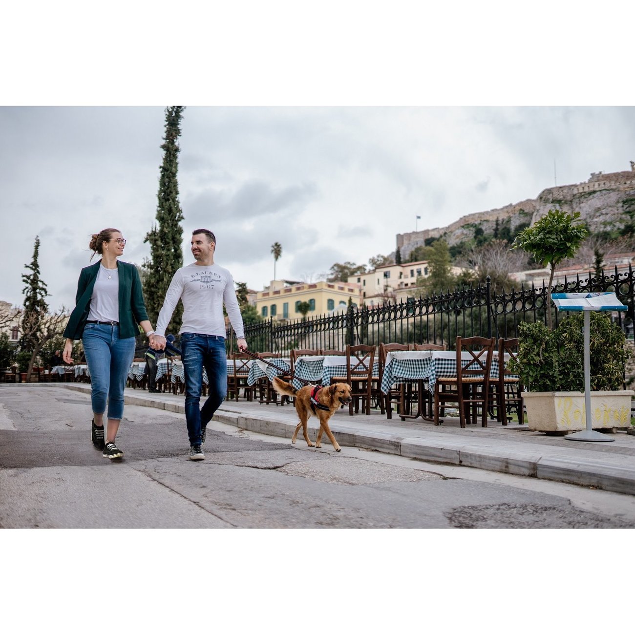 POWAIR Leine für Hunde Bild 4