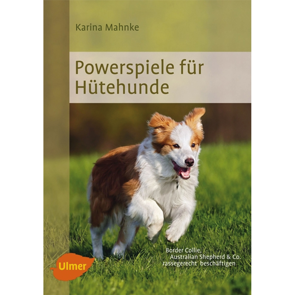 Powerspiele für Hütehunde Bild 1