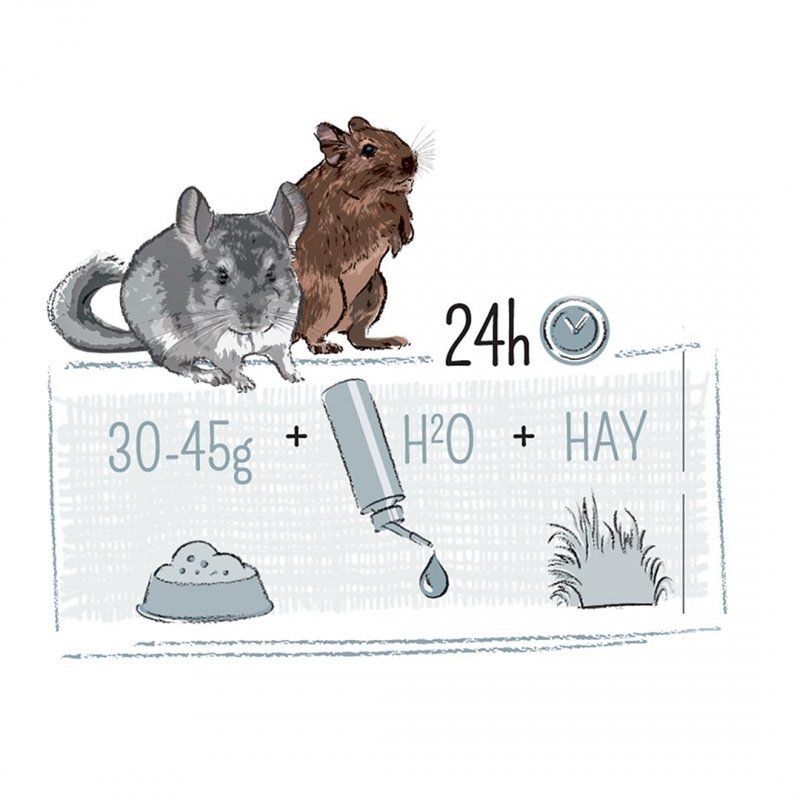 Puur Chinchilla- und Degufutter Bild 4