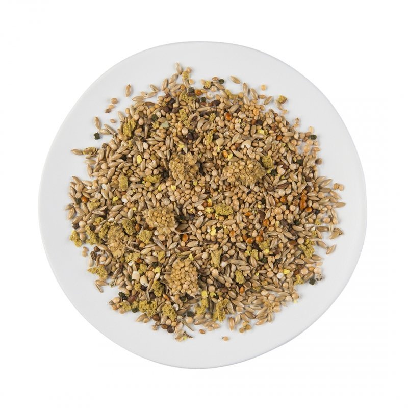 Puur Vogelfutter für Tropenvögel Bild 2