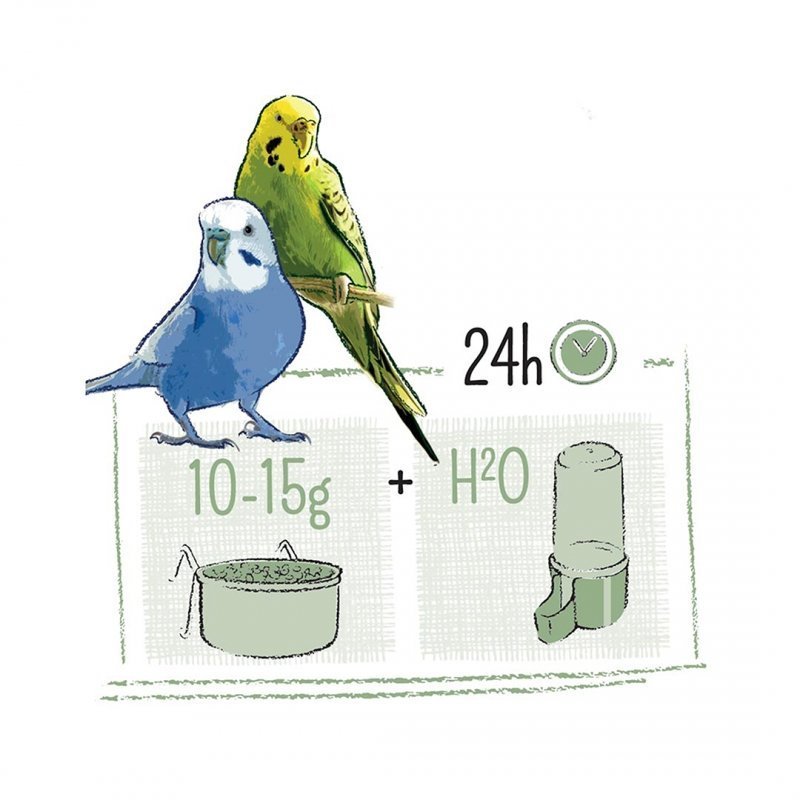 Puur Vogelfutter für Wellensittiche Bild 3