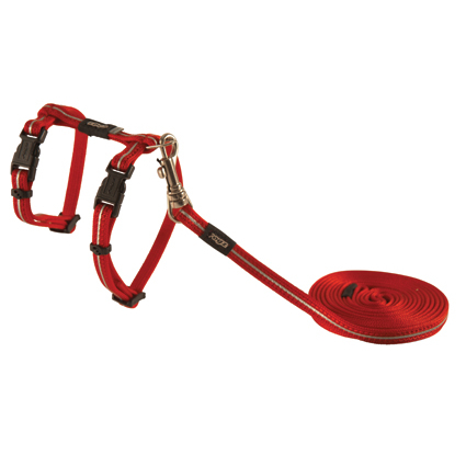 Alleycat - Katzengeschirr mit Leine, reflektierend Bild 2