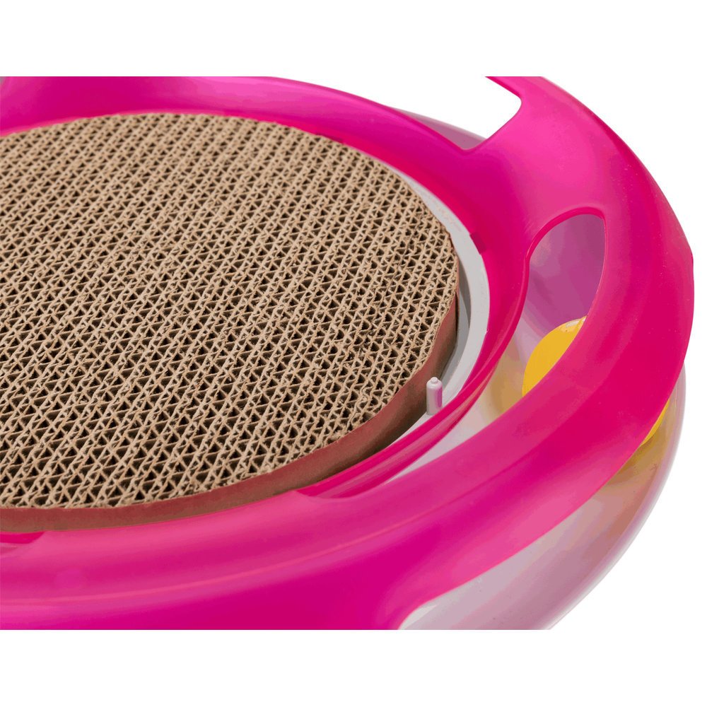 Race & Scratch Katzenspielzeug Bild 2