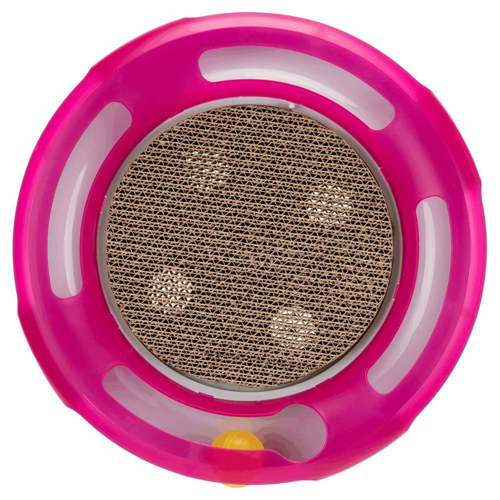 Race & Scratch Katzenspielzeug Bild 7