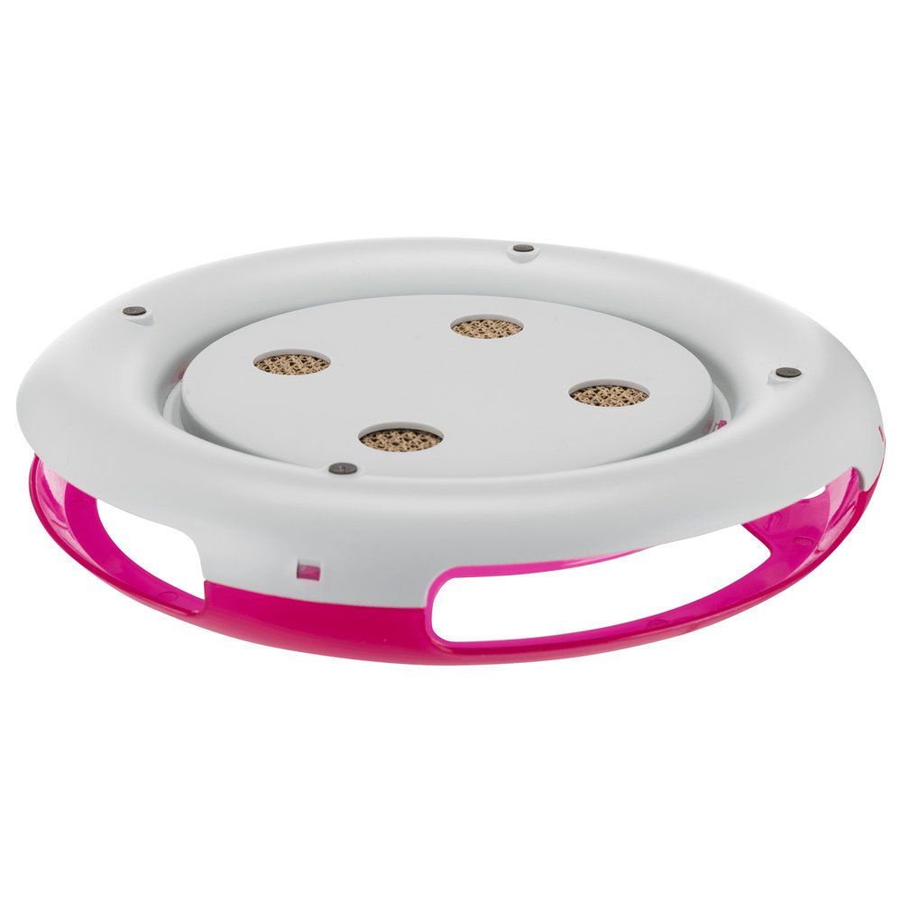 Race & Scratch Katzenspielzeug Bild 8