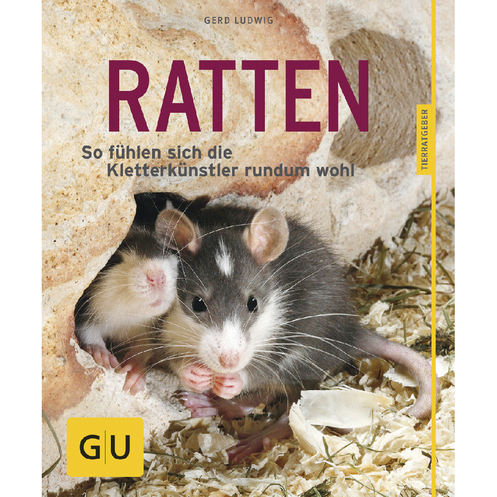 Ratten als Heimtiere - der Ratgeber Bild 1