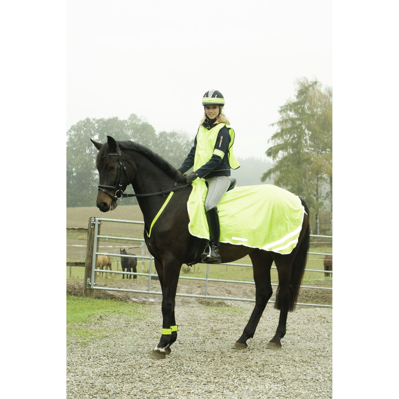 Covalliero Reflektierende Ausreitdecke Bild 3