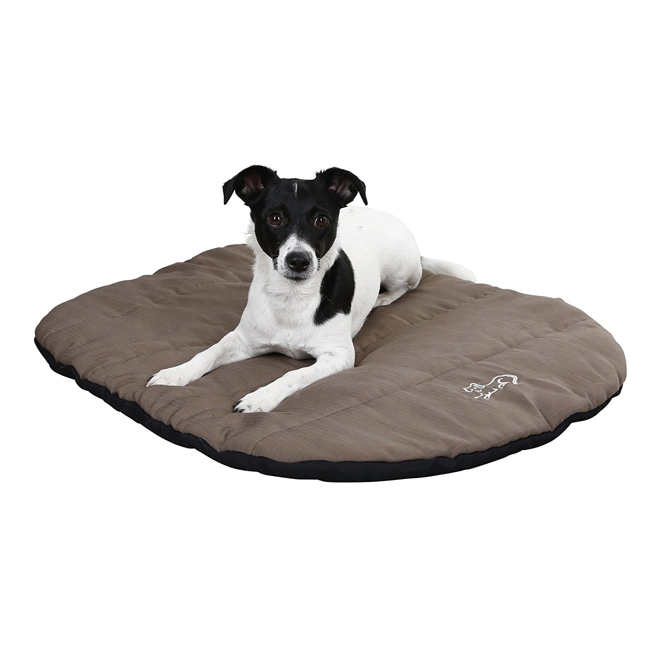 Reisekissen für Hunde mit Hülle Bild 3