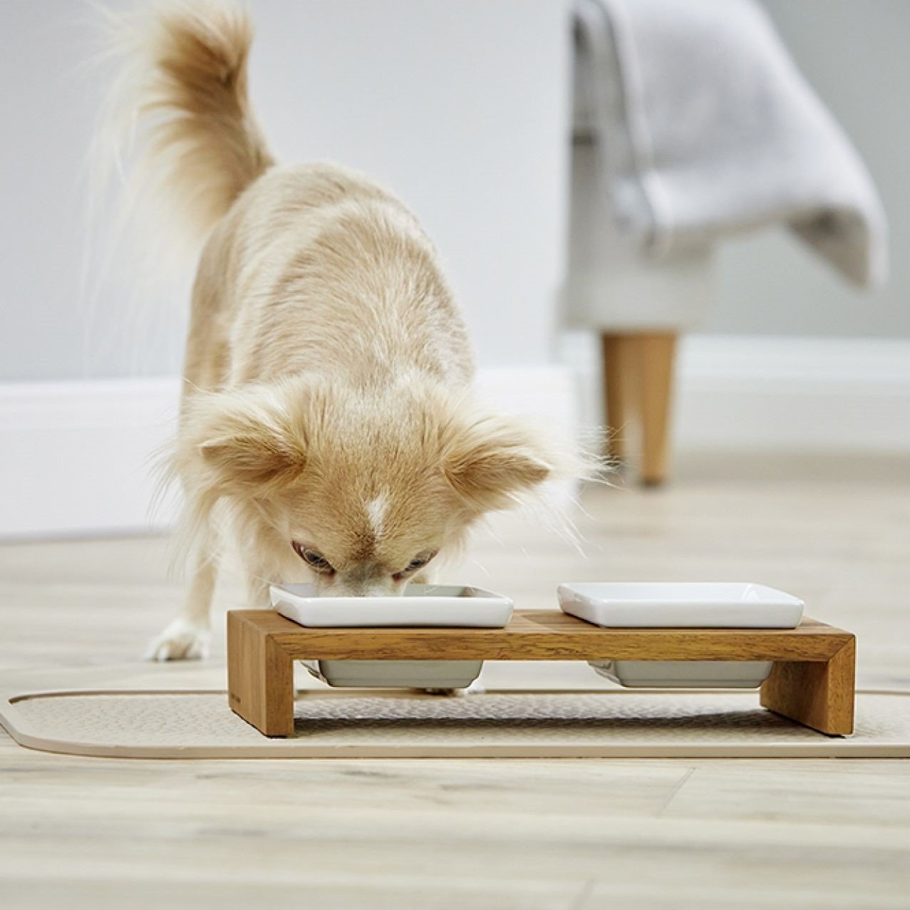 Futterstation Meshidai True Doppelnapf Bild 5