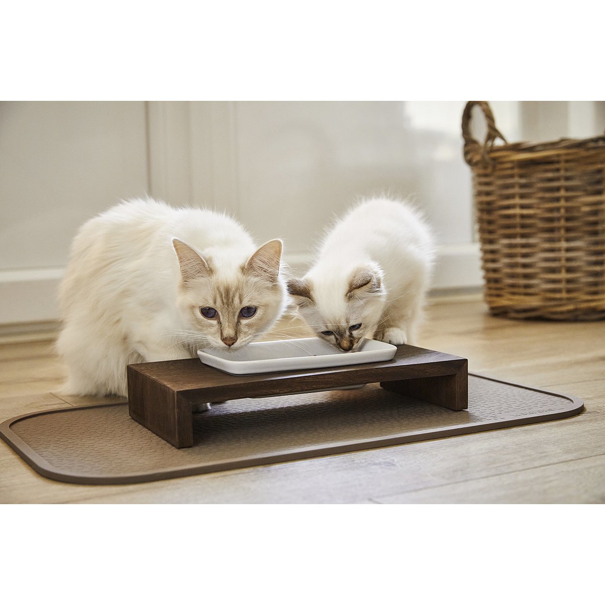Replus Katzennapf Meshidai Siam Bild 2