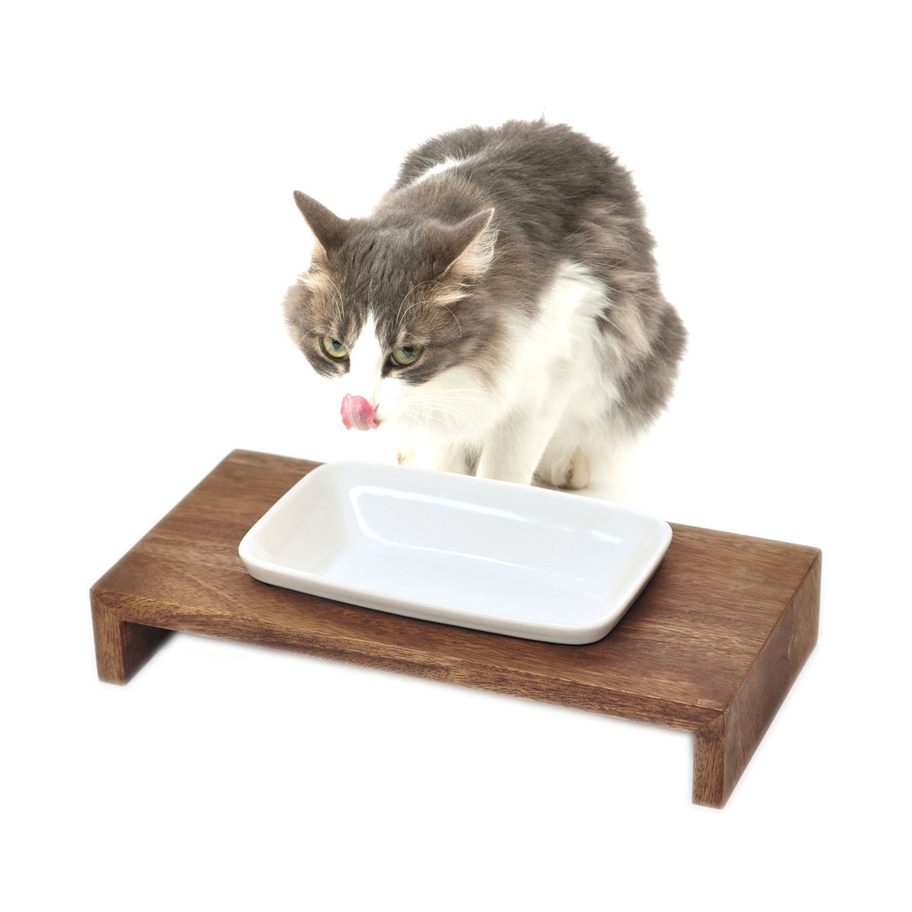 REPLUS Katzennapf Siam True Bild 3