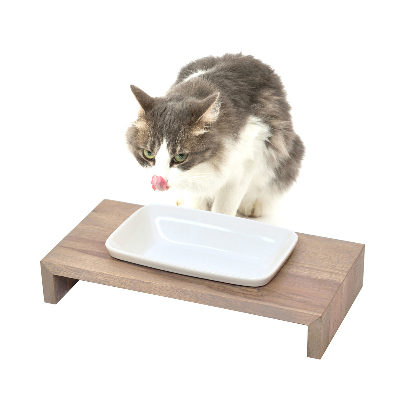 REPLUS Katzennapf Siam True Bild 5