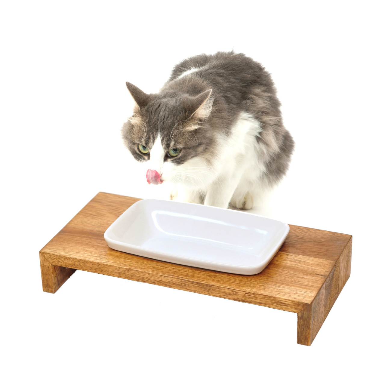 REPLUS Katzennapf Siam True Bild 7