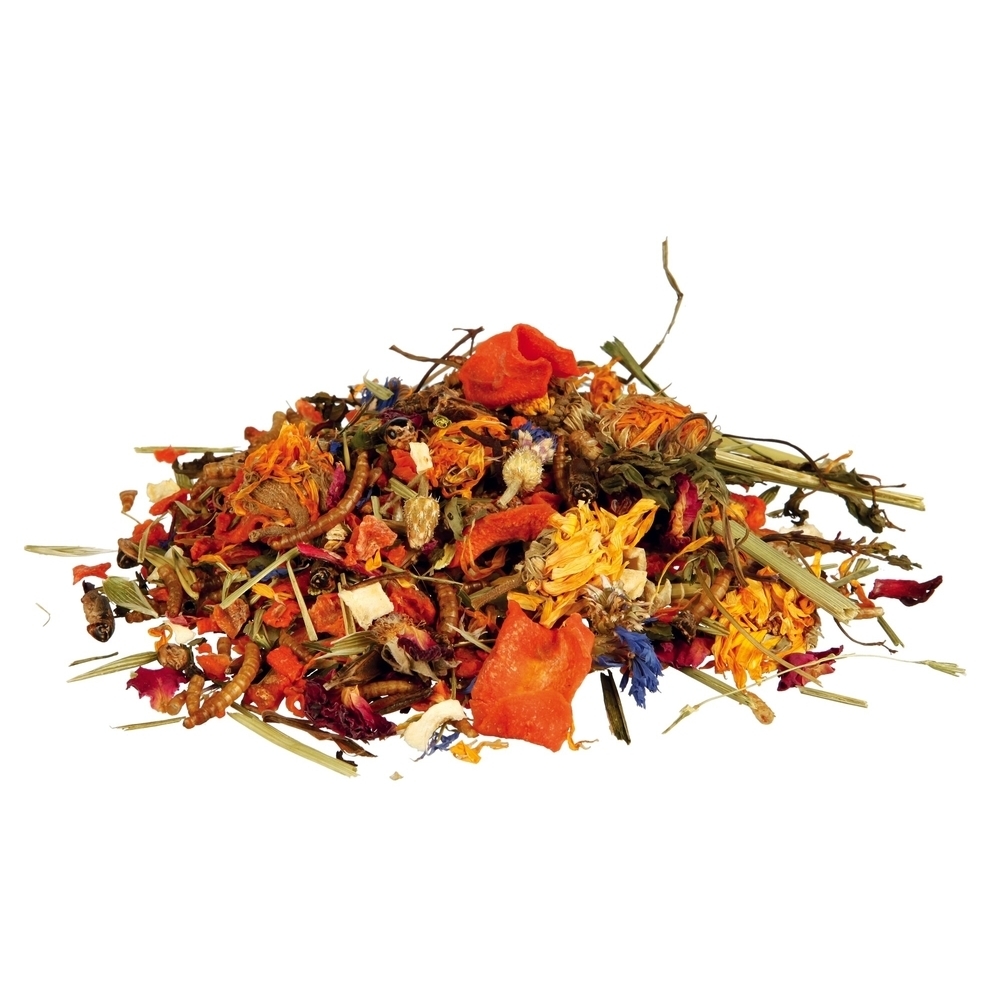 Reptilien Naturfutter-Mix für Bartagamen Bild 2