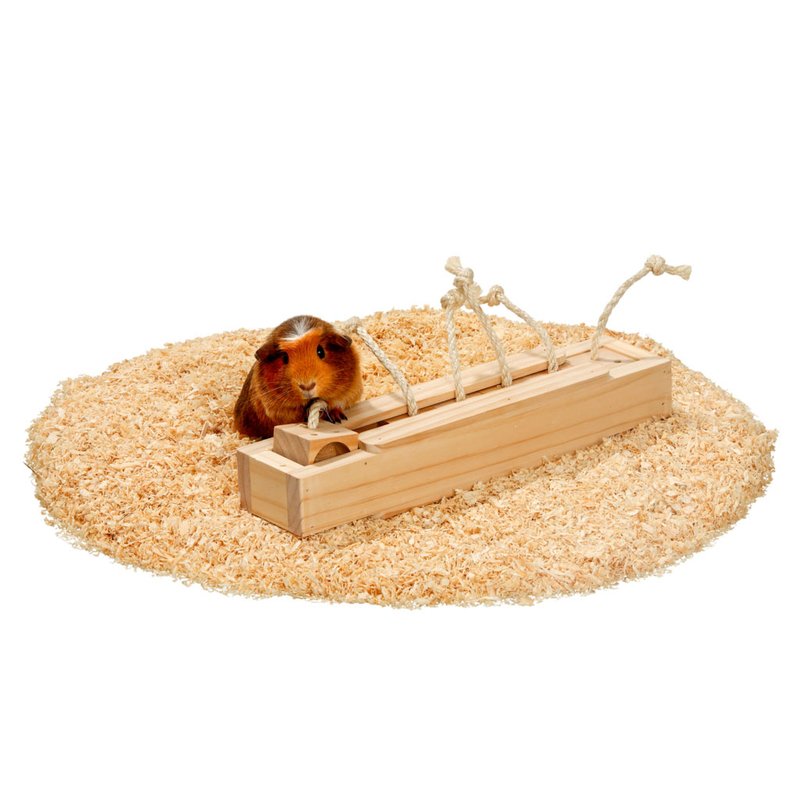 Rody Brain Train Cube Intelligenzspielzeug für Kleintiere Bild 5