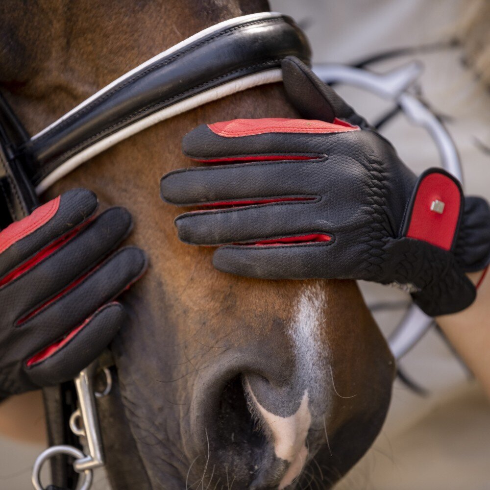 Roeckl Reithandschuh Malta Bild 10