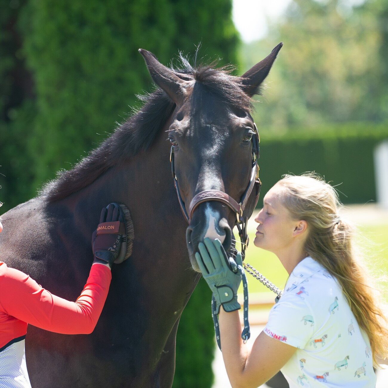 Roeckl Reithandschuh Malta Bild 12