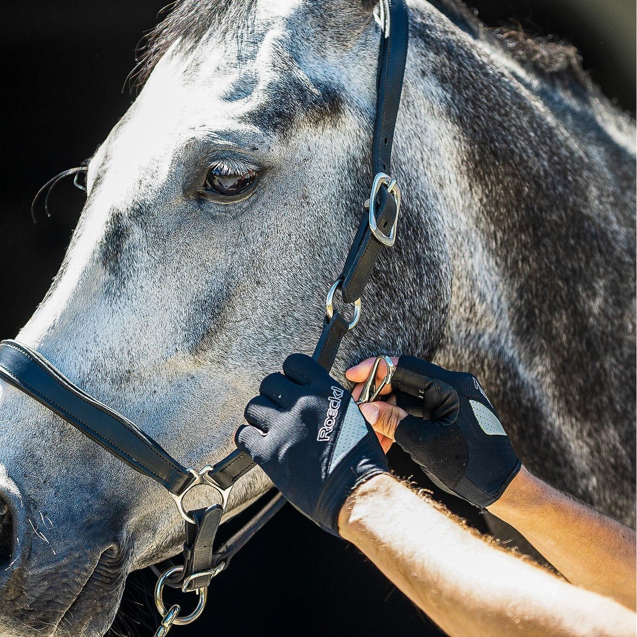 Roeckl Reithandschuh Miami Bild 2