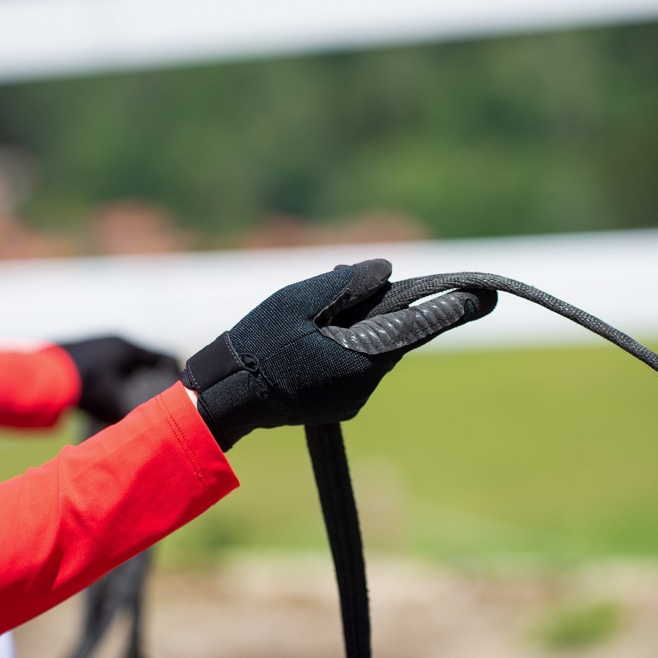 Roeckl Reithandschuh Milas Bild 2