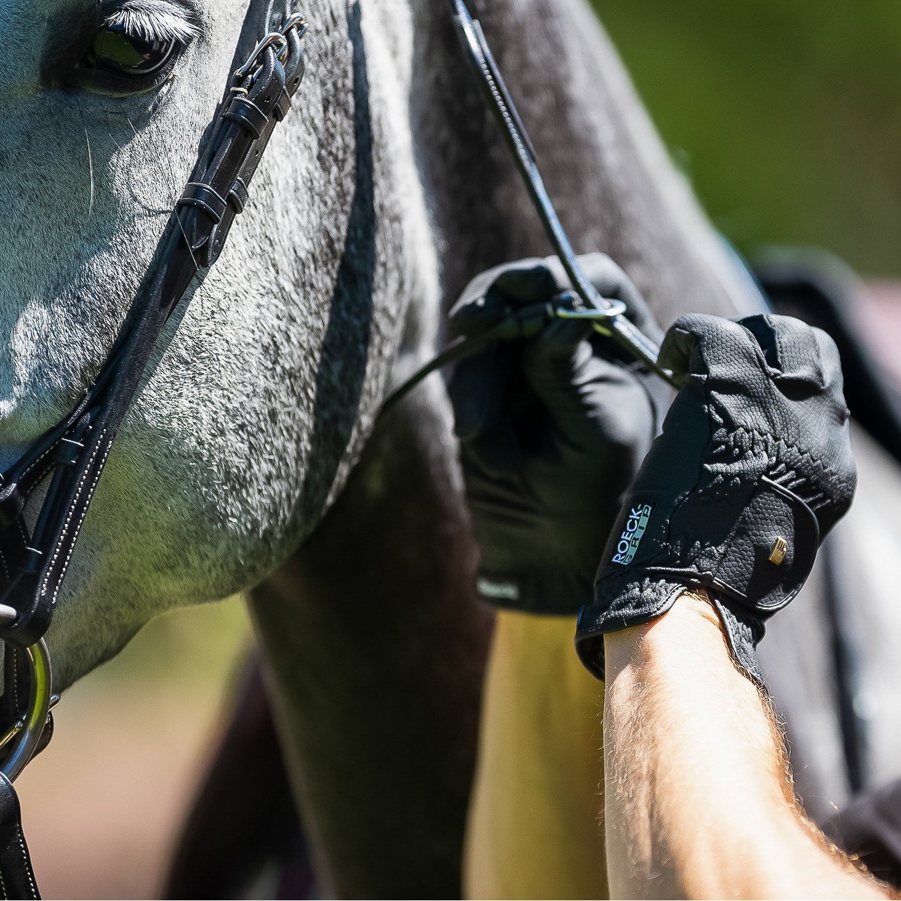 Roeckl Reithandschuh Roeck Grip Bild 9
