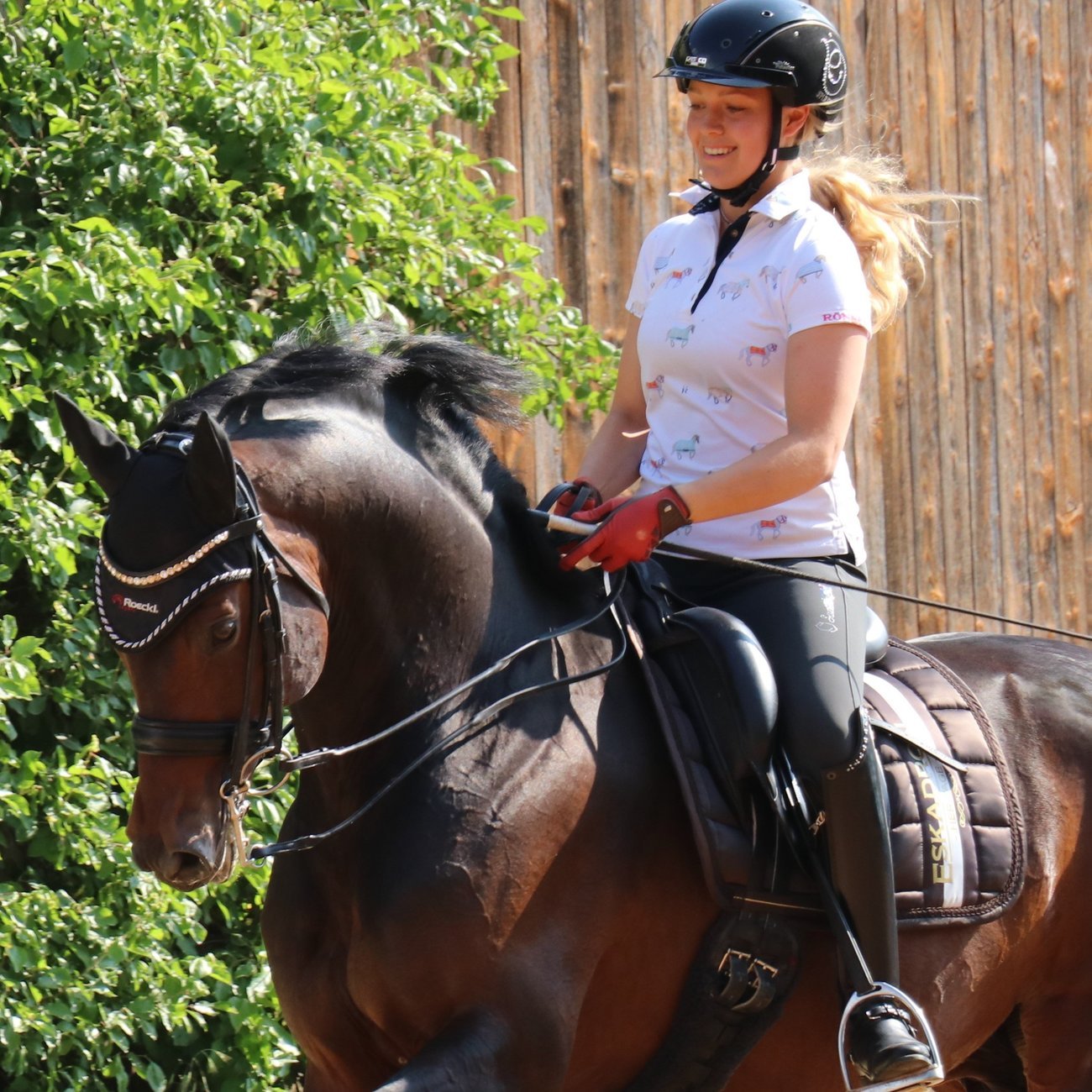 Sommer Reithandschuh Muenster Bild 13