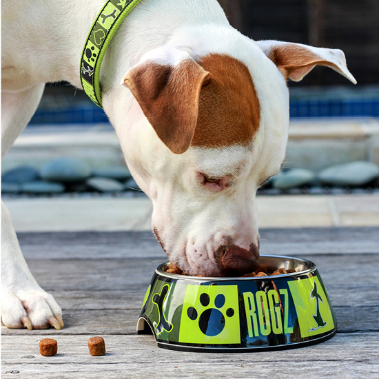 ROGZ Bubble Hundenapf aus Melamin Bild 21