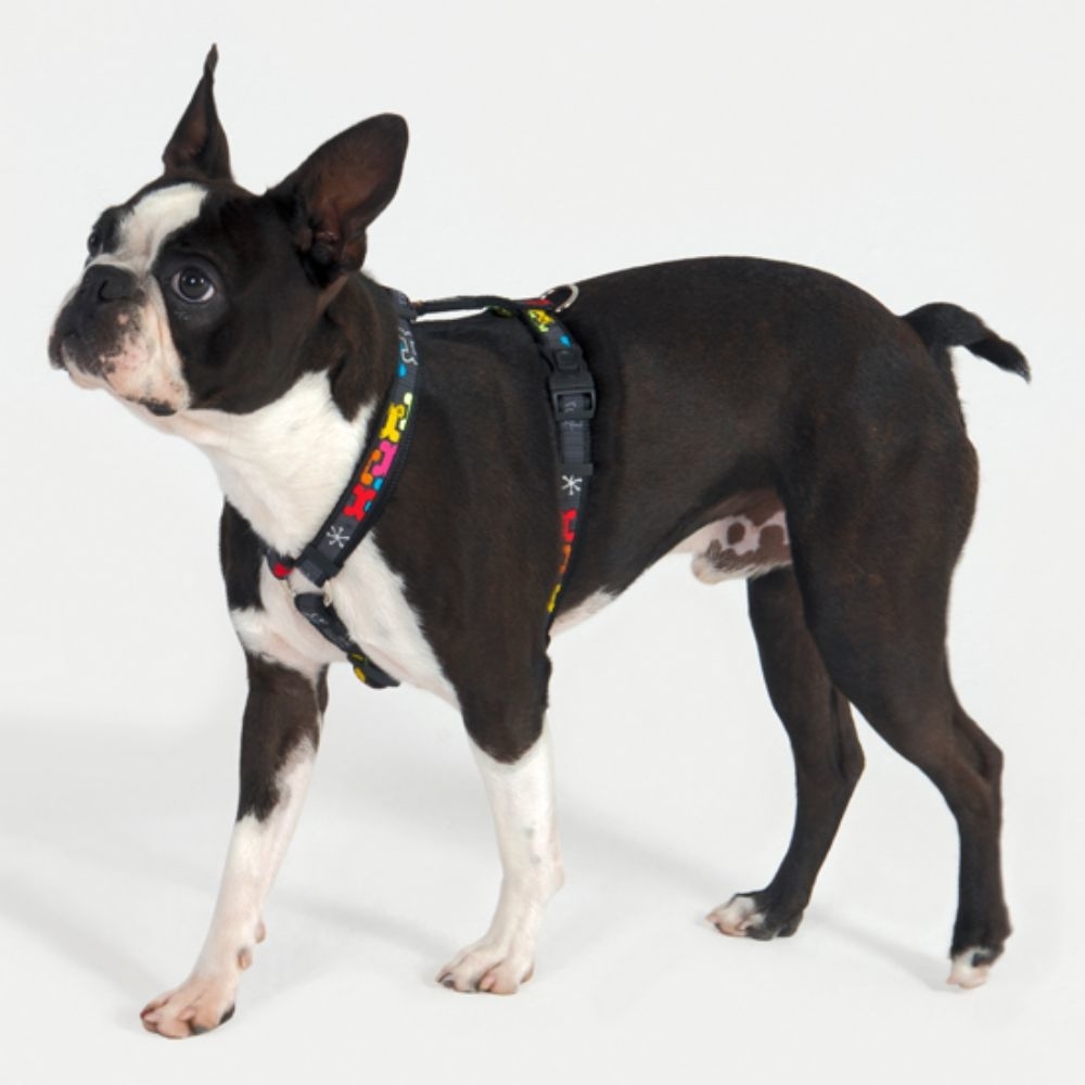 Rogz Fancy Dress Cool Graphics Hundegeschirr Bild 3