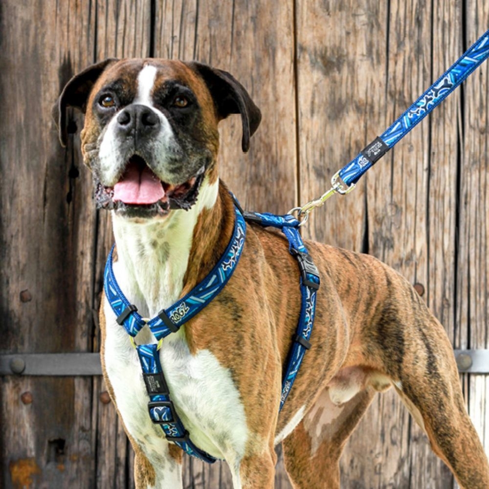 Rogz Fancy Dress Cool Graphics Hundegeschirr Bild 20