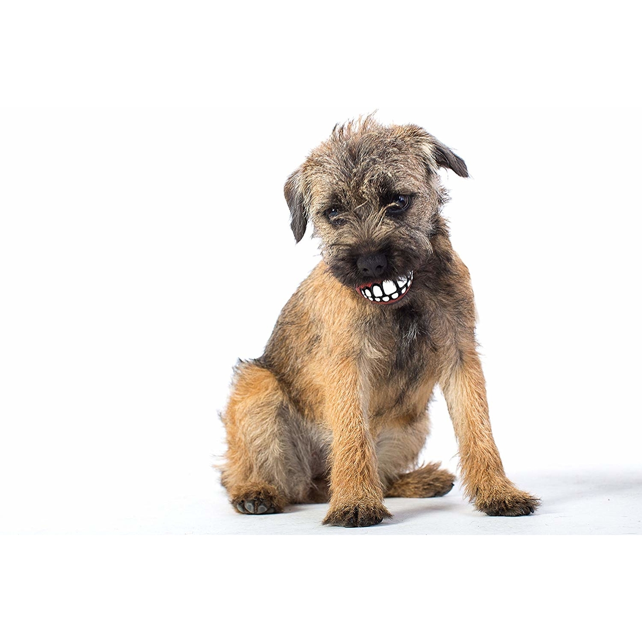 ROGZ Grinz Ball für Hunde Bild 6