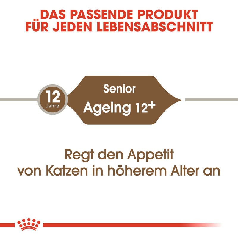 Royal Canin Ageing 12+ Trockenfutter für ältere Katzen Bild 5