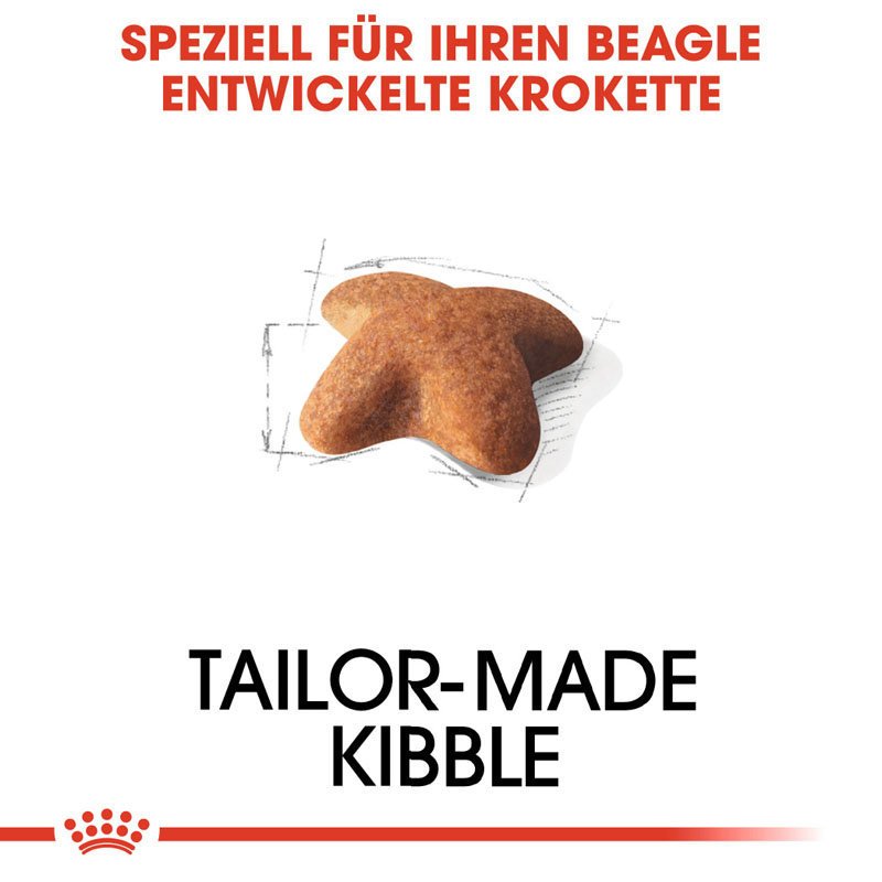 Royal Canin Beagle Adult Hundefutter trocken Bild 5