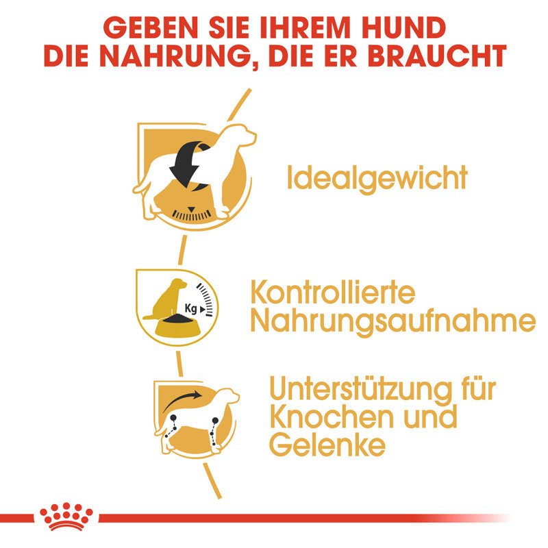 Royal Canin Beagle Adult Hundefutter trocken Bild 3