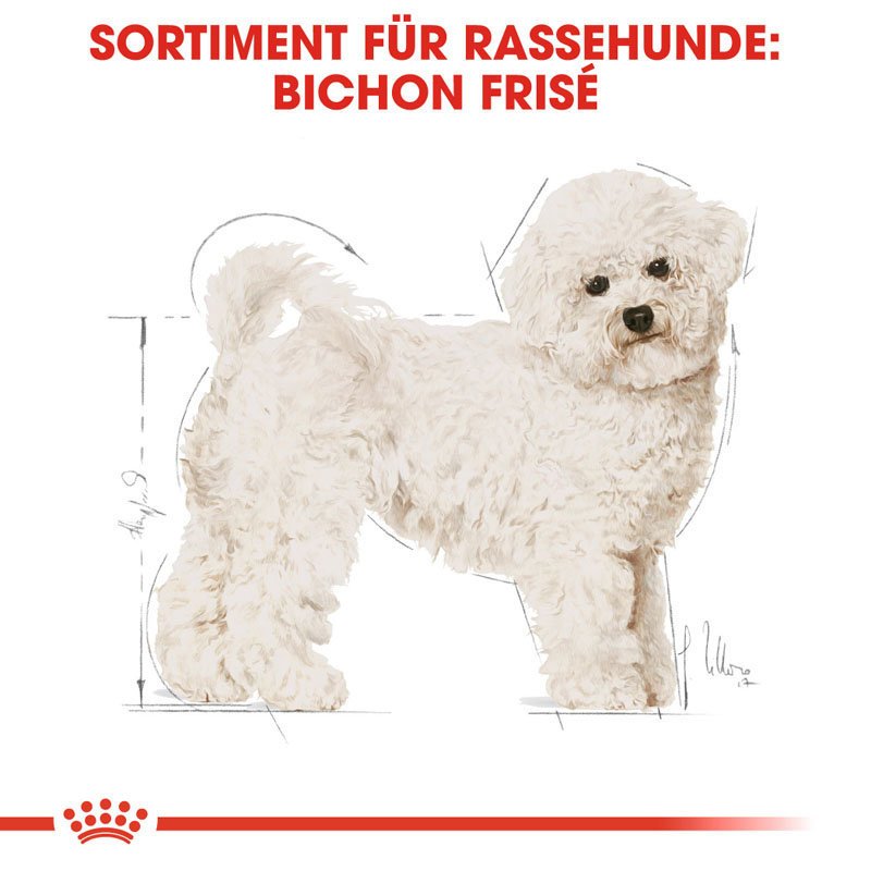 Royal Canin Bichon Frise Adult Hundefutter trocken Bild 4