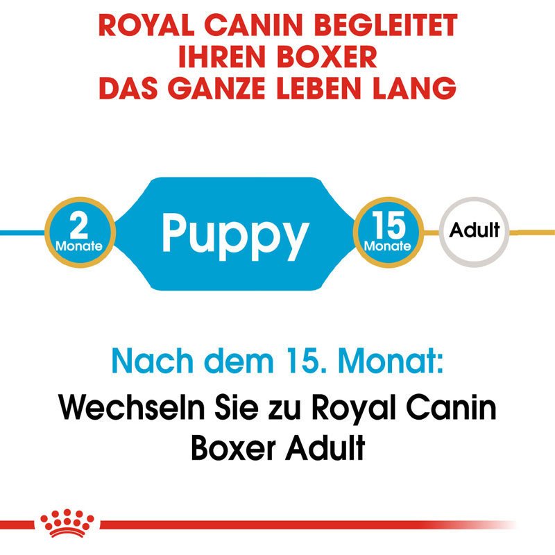 Royal Canin Boxer Puppy Welpenfutter trocken Bild 4