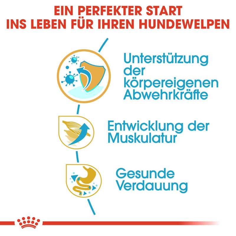 Royal Canin Boxer Puppy Welpenfutter trocken Bild 3