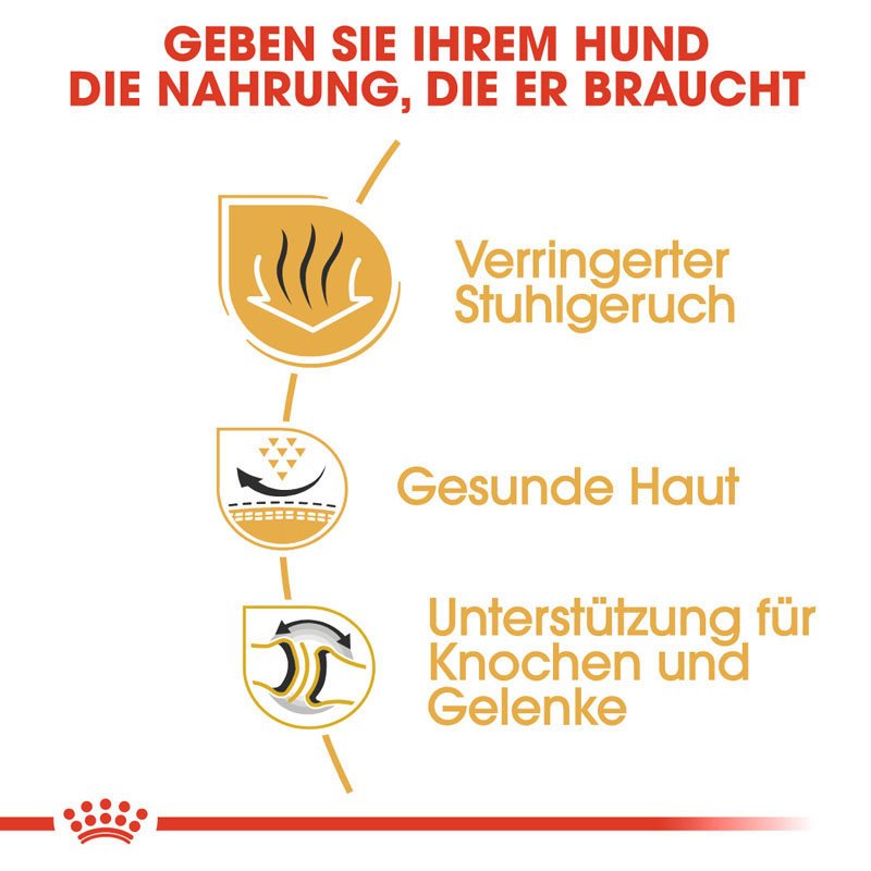 Royal Canin Bulldog Adult Hundefutter trocken Bild 3