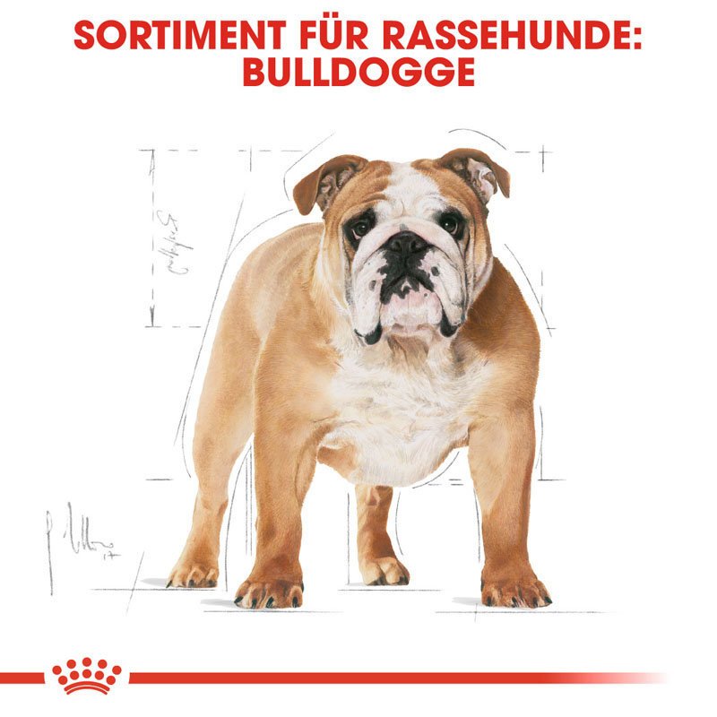 Royal Canin Bulldog Adult Hundefutter trocken Bild 4