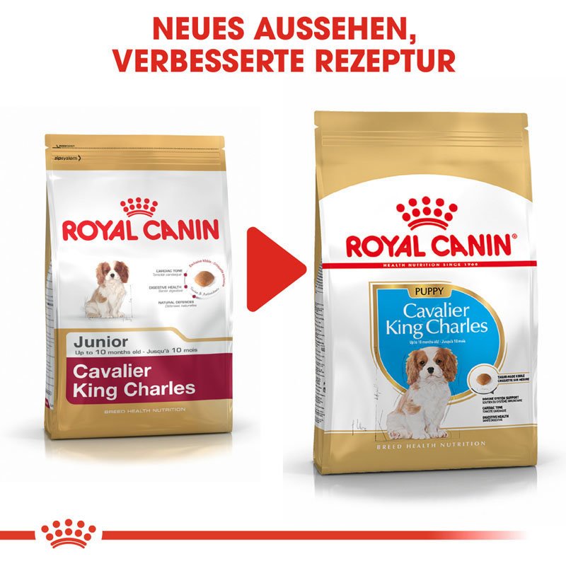 Royal Canin Cavalier King Charles Puppy Welpenfutter trocken Bild 7