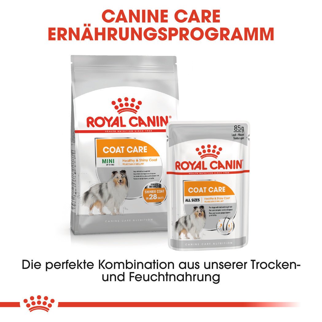 Royal Canin CCN Coat Care Mini Trockenfutter für kleine Hunde für glänzendes Fell Bild 7
