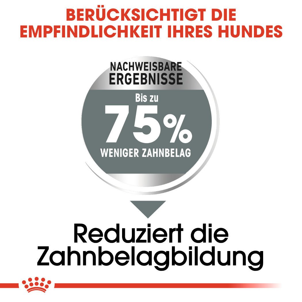 Royal Canin CCN Dental Care Maxi Trockenfutter für große Hunde mit empfindlichen Zähnen Bild 4