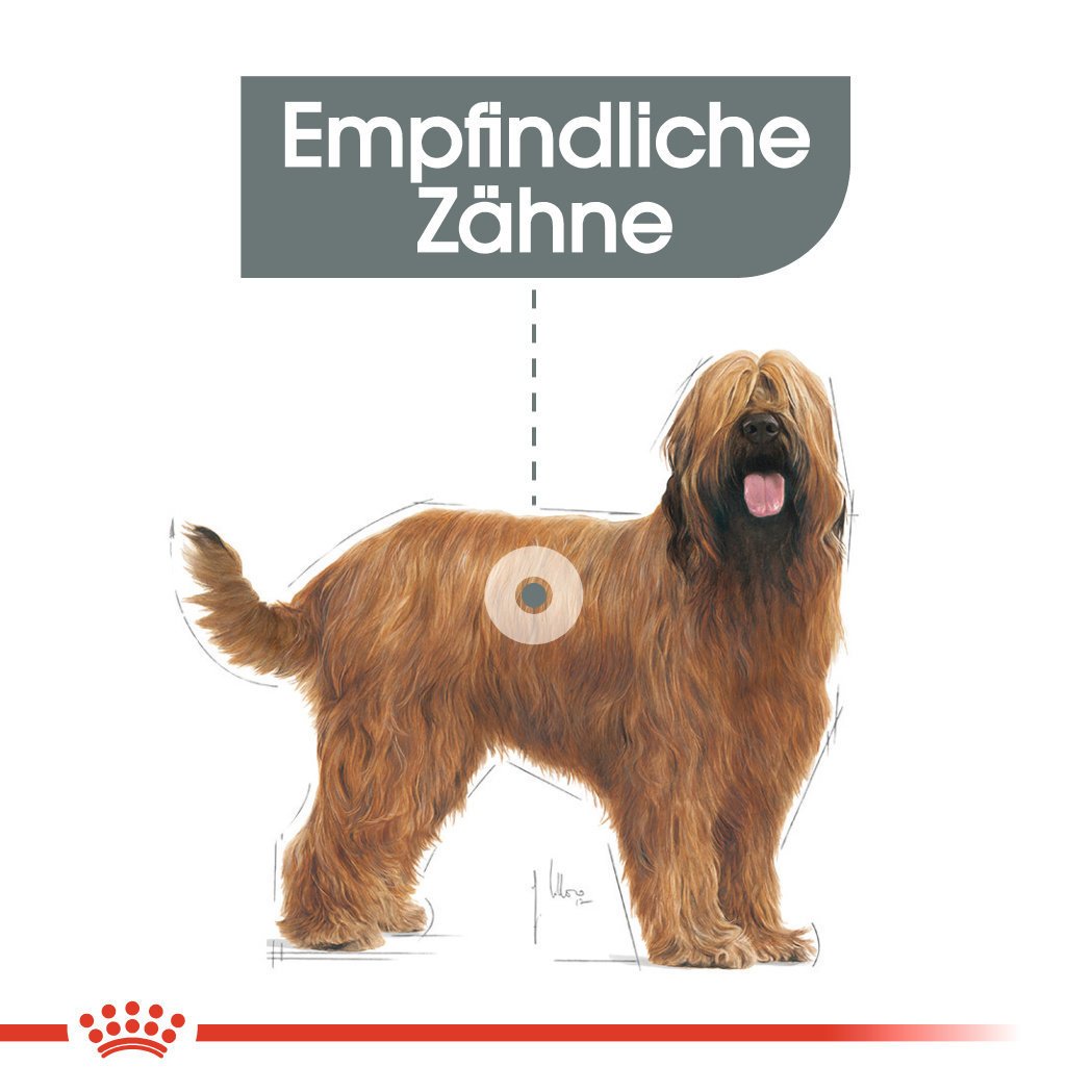 Royal Canin CCN Dental Care Maxi Trockenfutter für große Hunde mit empfindlichen Zähnen Bild 3