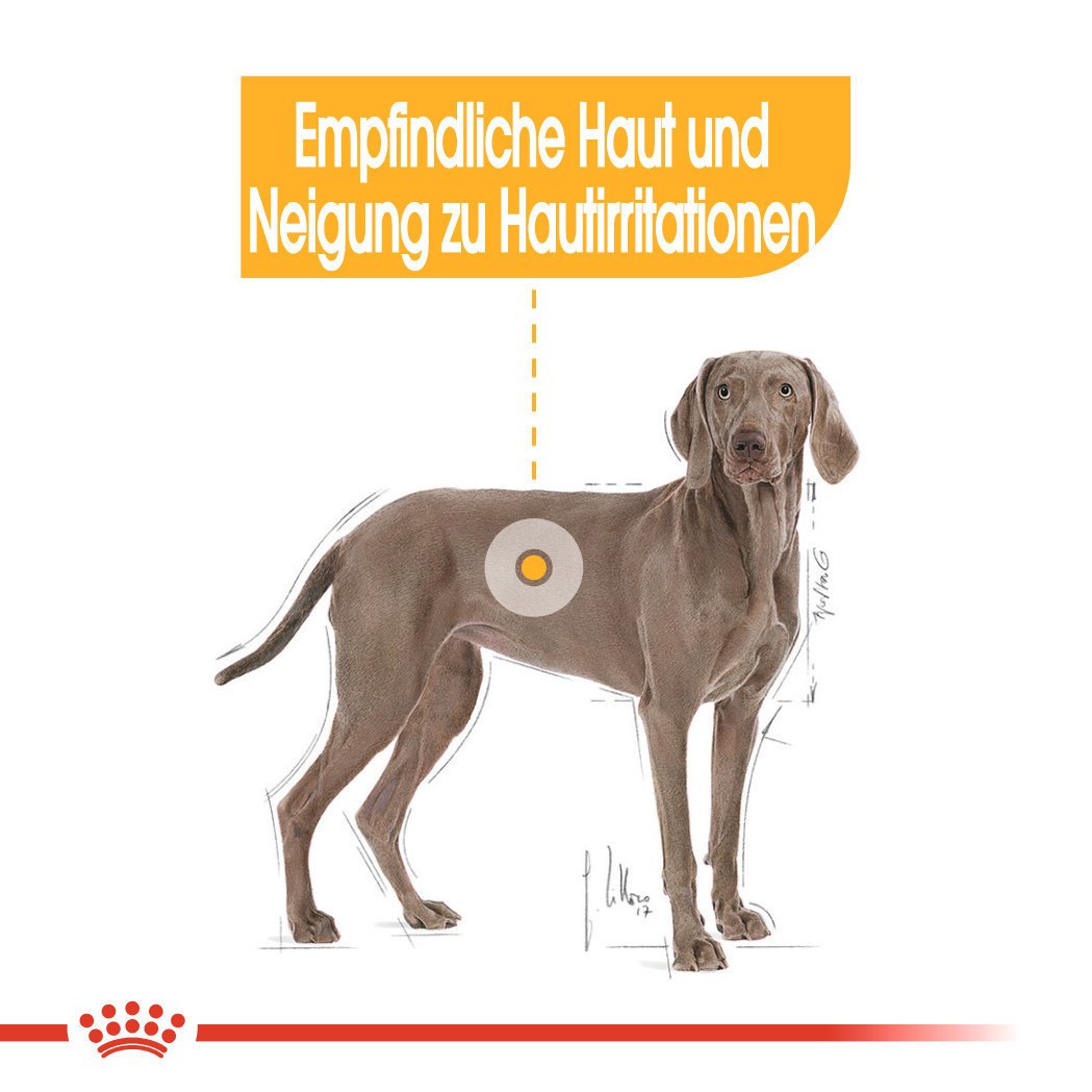 Royal Canin CCN Dermacomfort Maxi Trockenfutter für große Hunde mit empfindlicher Haut Bild 3