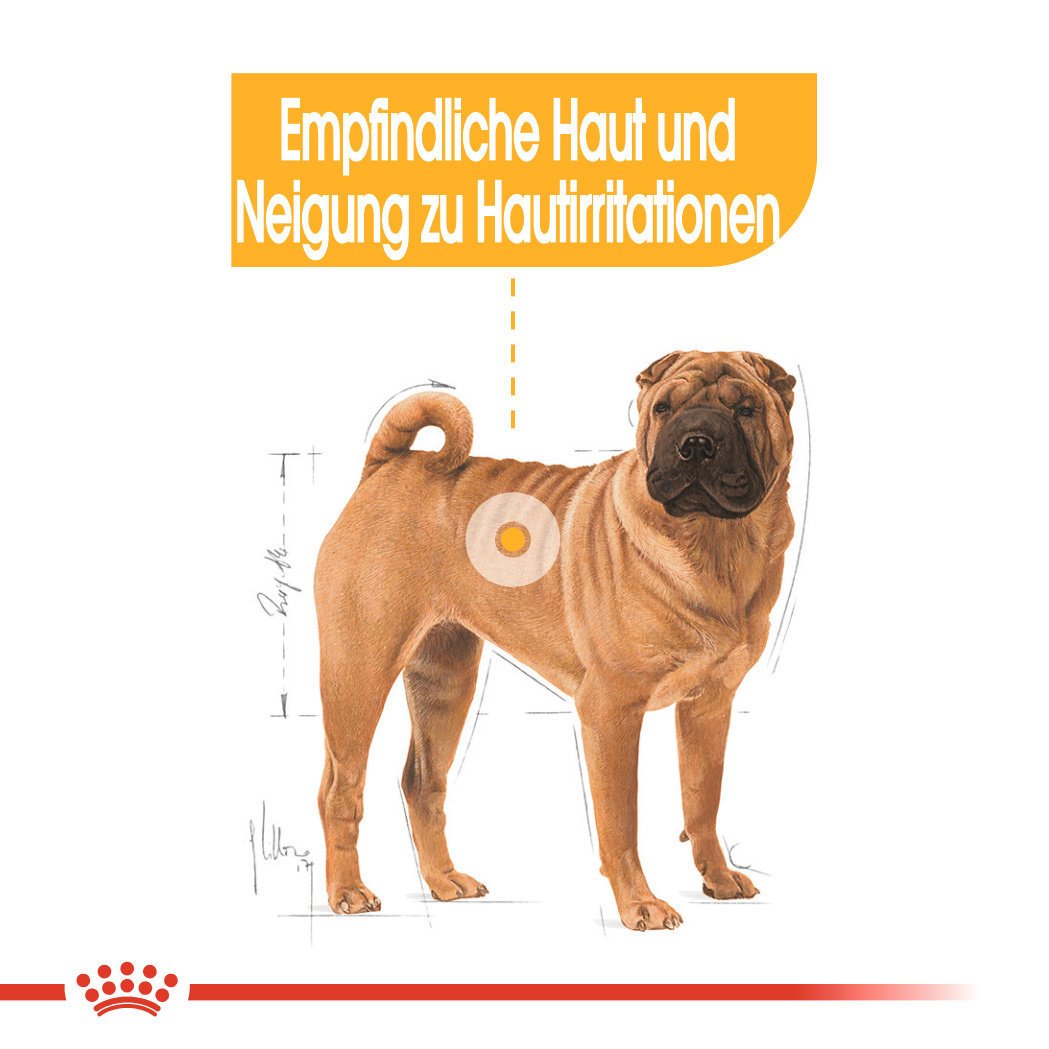 Royal Canin CCN Dermacomfort Medium Trockenfutter für mittelgroße Hunde mit empfindlicher Haut Bild 3