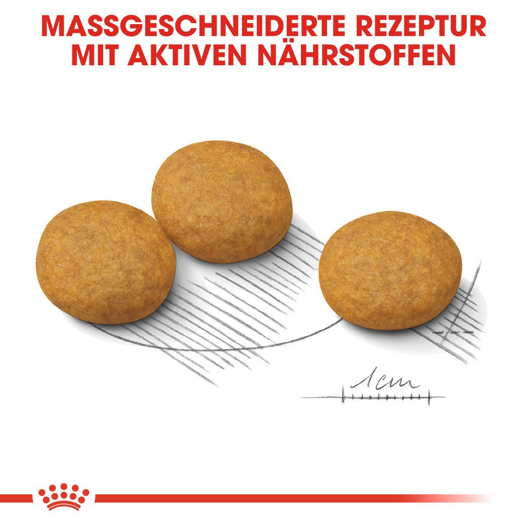 Royal Canin CCN Dermacomfort Medium Trockenfutter für mittelgroße Hunde mit empfindlicher Haut Bild 4