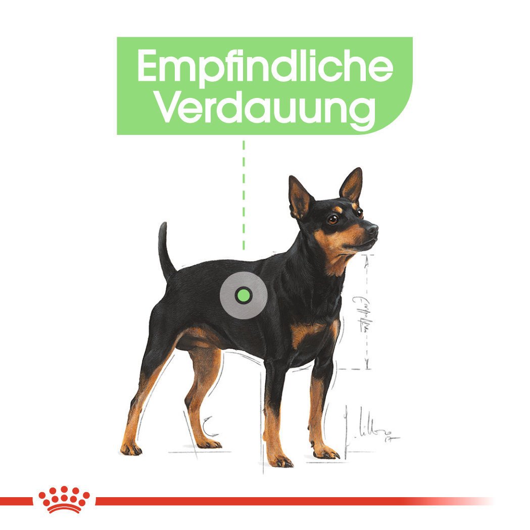 Royal Canin CCN Digestive Care Nassfutter für Hunde mit empfindlicher Verdauung Bild 5